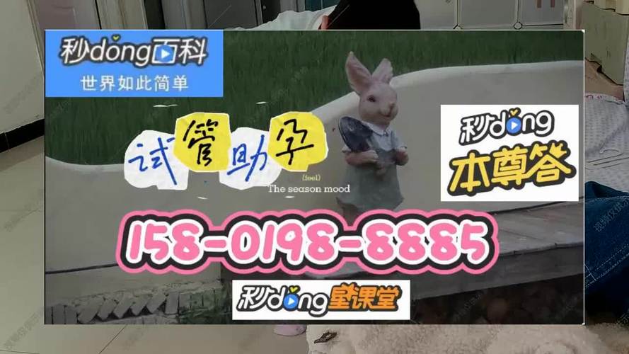 代怀孩子有哪些公司(代怀孩子公司盘点)