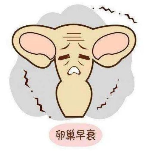 如何找个试管代怀的女人_寻觅试管代怀的女性：如何找到合适的代孕妈妈