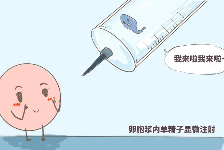 代生完多久-代生完多久，孕期恢复速度有关