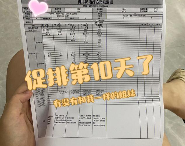 试管代怀要花多少费用-试管代怀费用一览- 打破传统代孕费用迷思