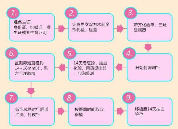 试管代怀指南【试管代怀指南：全面解读试管婴儿代孕流程】